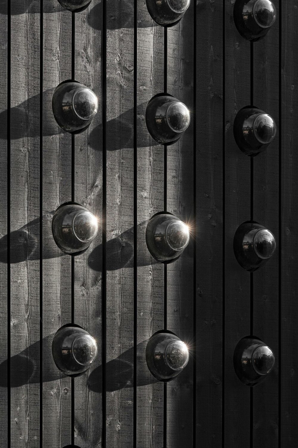 Canard Raiden (First Edition) main image 0