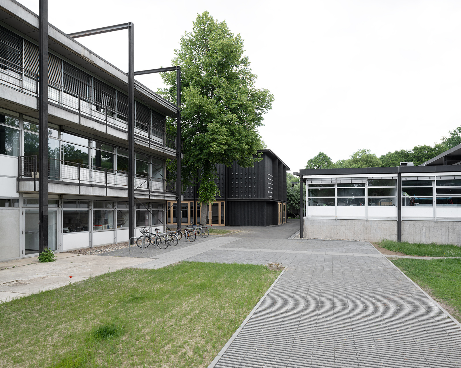 Die Fassade aus schwarz gestrichenem, sägerauen Lärchenholz steht im Kontrast zu den hellen Bestandsgebäuden.