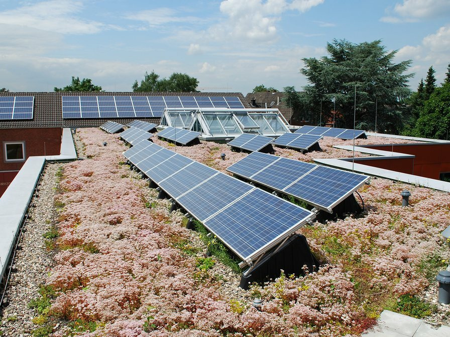 Die Vegetation führt zu einer Reduktion der Oberflächen-, Umgebungs- und Modultemperatur durch adiabate Kühlung und steigert so den Wirkungsgrad der elektrischen Bauteile.