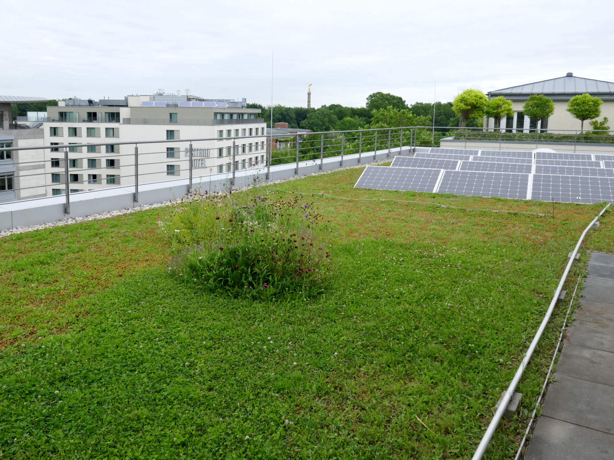Insbesondere Photovoltaikanlagen (PV-Systeme) profitieren von der Integration in Dachbegrünungen.