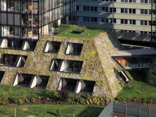 Begrüntes Schrägdach mit Schubabtrag auf die Unterkonstruktion im Wohnviertel Residenz Central Park in Prag, Architektur: A96 architects, Prag und AED Projekt, Prag