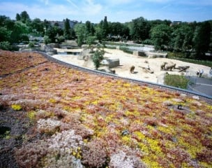 Elefantenhaus im Kölner Zoo