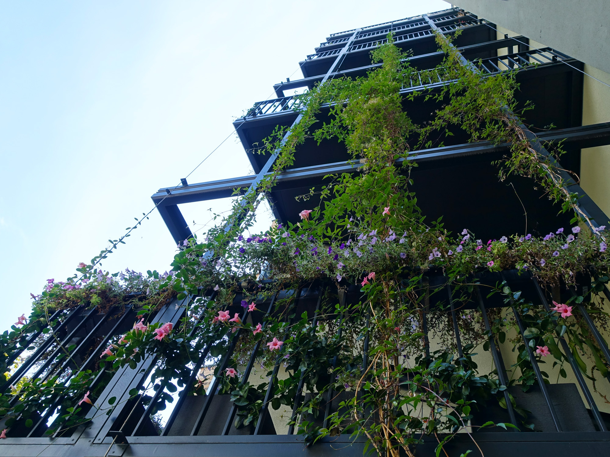 Rankhilfen für die Fassadenbegrünung | Stadt- und Dachbegrünung ...