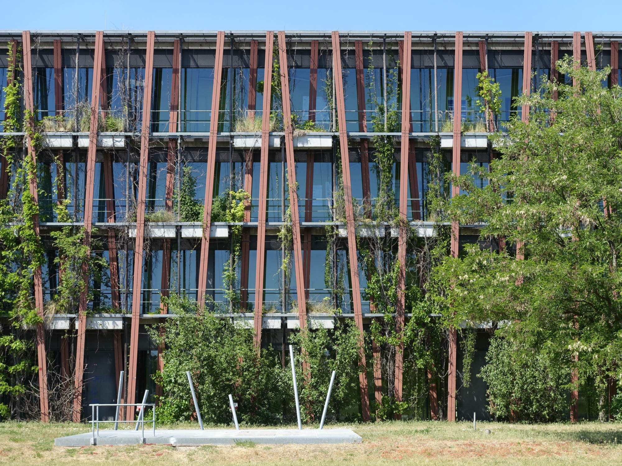 Boden- und wandgebundene Fassadenbegrünung am Lise-Meitner-Haus (Institut für Physik), Architektur: Augustin und Frank