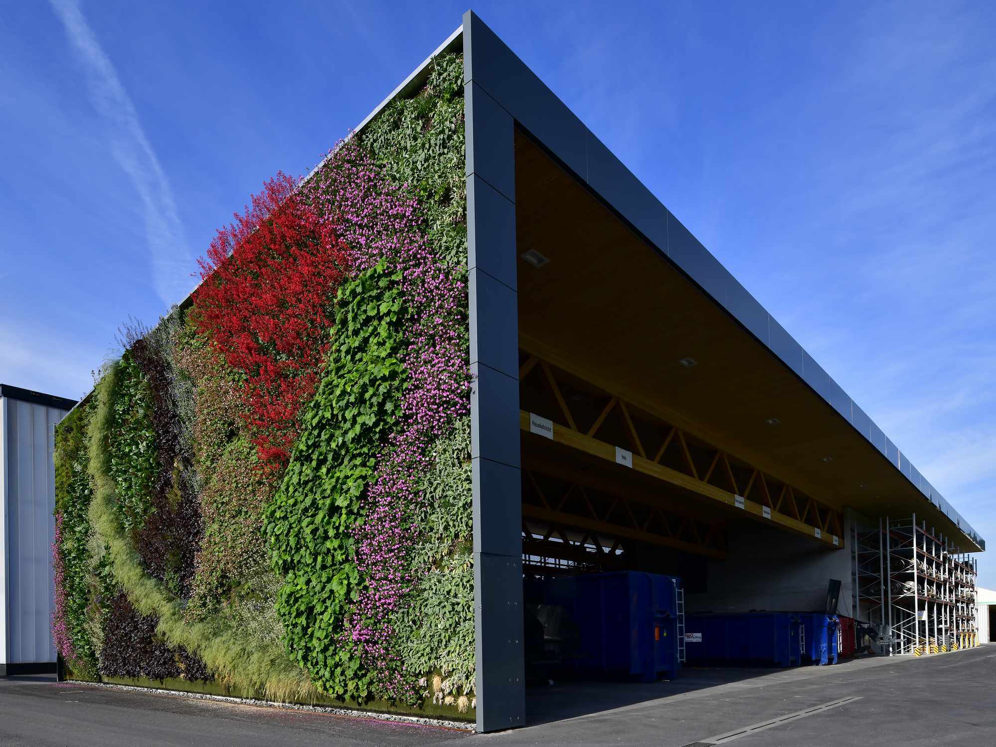 Statt einer intensiven Dachbegrünung ist die Fassade als Living Wall bepflanzt.