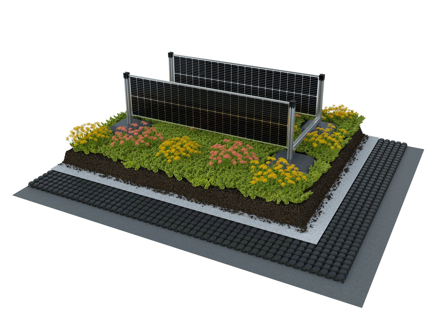Schichtaufbau der Dachbegrünung mit vertikalem PV-Modul, Montagegestell und Ballastfüßen