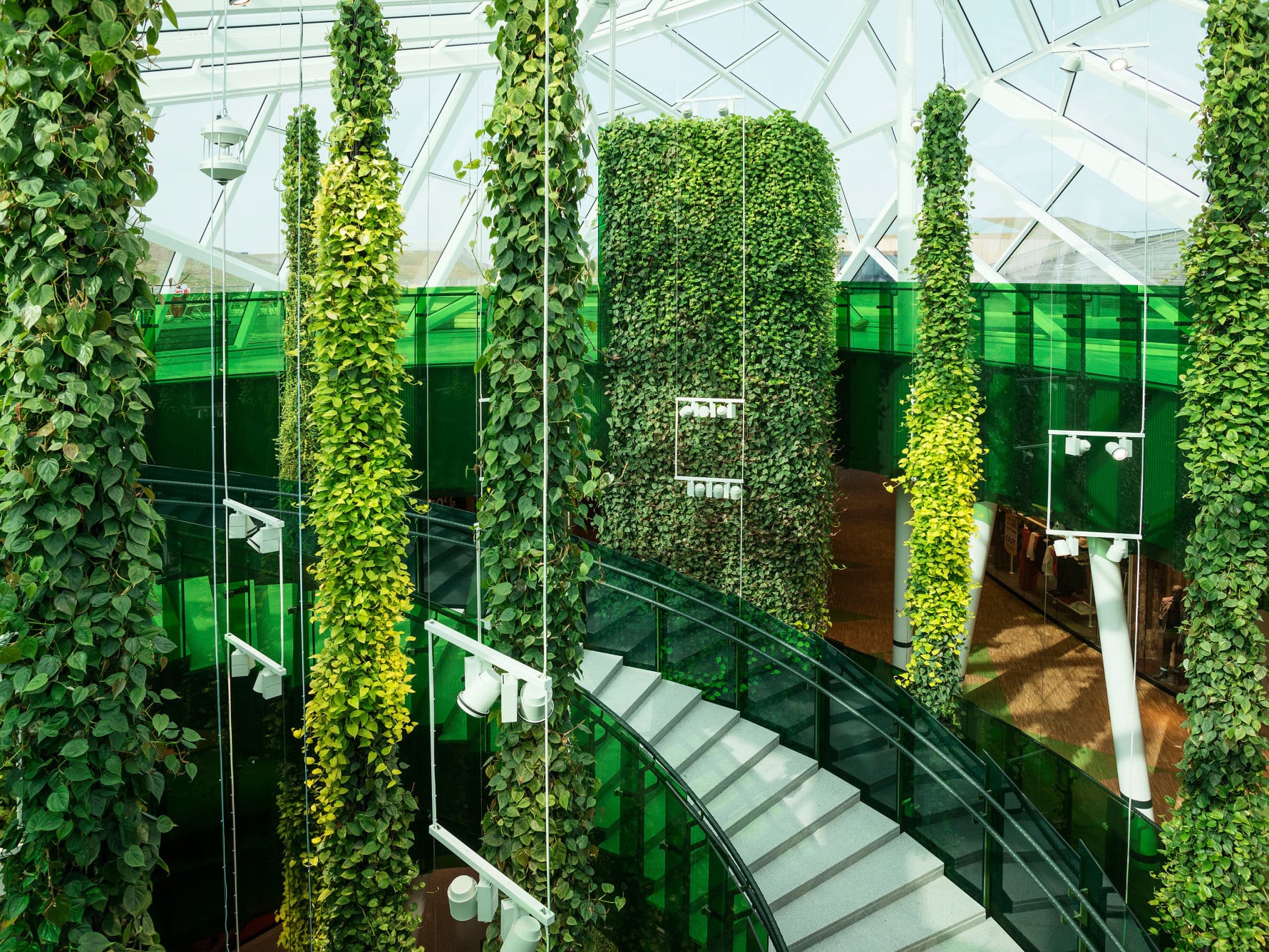 Pflanzen brauchen zum Wachsen Licht, Wasser und Nährstoffe. Auf dieser Grundlage basiert das vertikale, hängende Pflanzsystem Plantwire des Herstellers Green Fortune