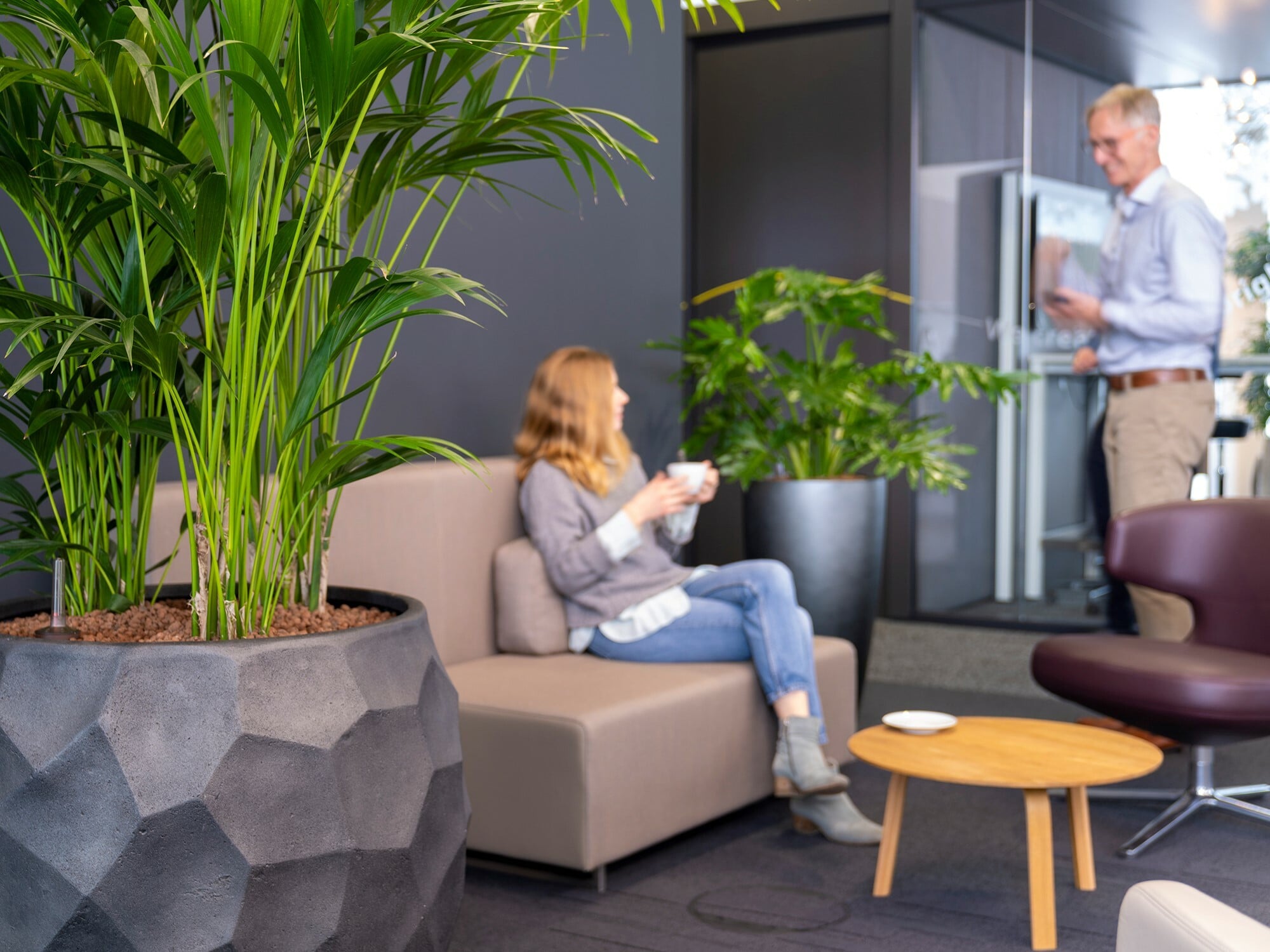 Begrünungen am Arbeitsplatz steigern die Produktivität.