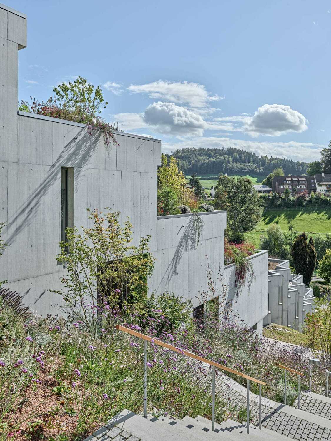 In der ersten Bauphase entstanden in vier Häusern 12 von insgesamt 43 geplanten Wohneinheiten.