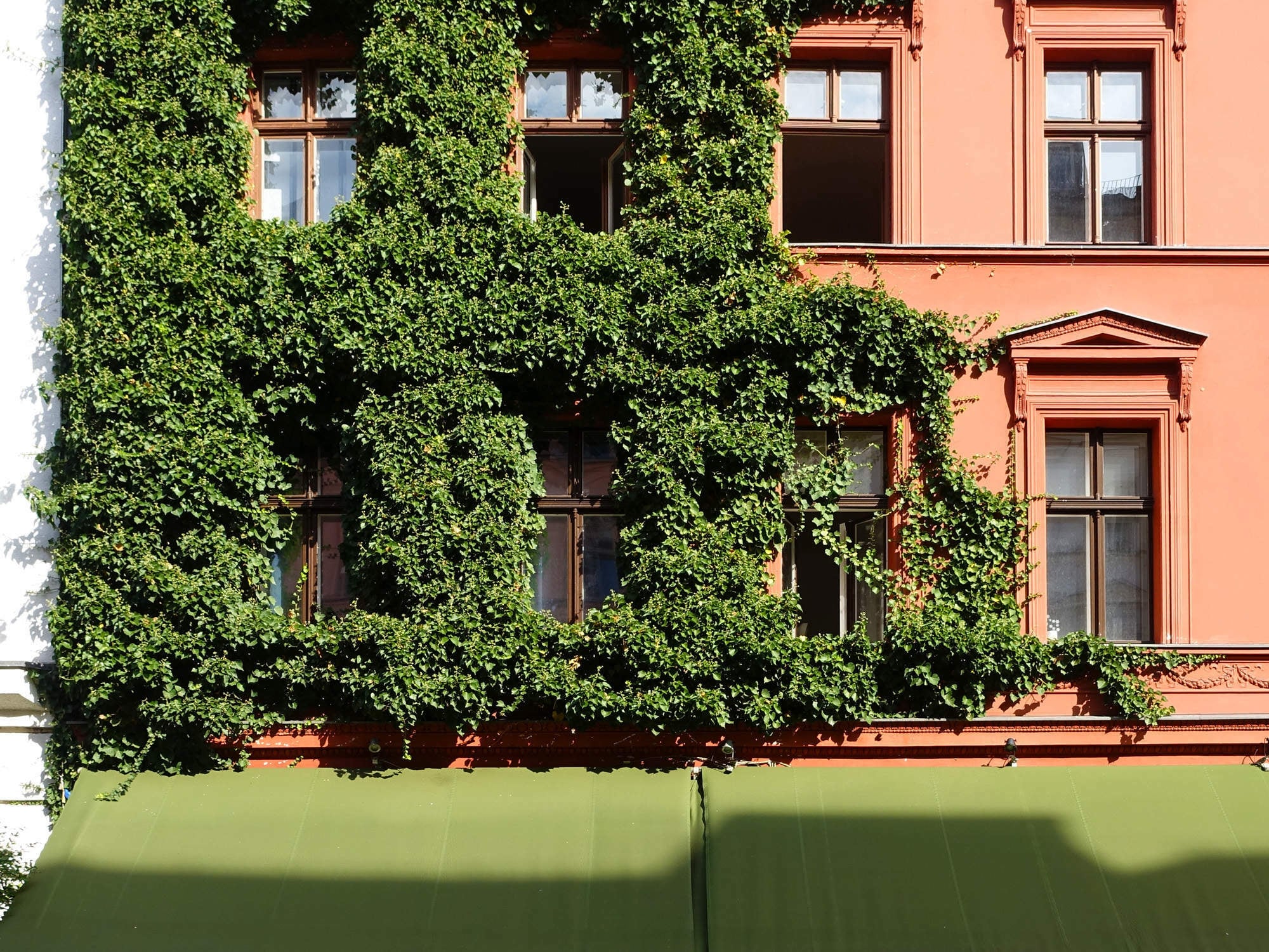 Fassaden- und Wandbegrünungen verleihen Gebäuden ein individuelles Aussehen und werten das Stadtbild optisch auf.