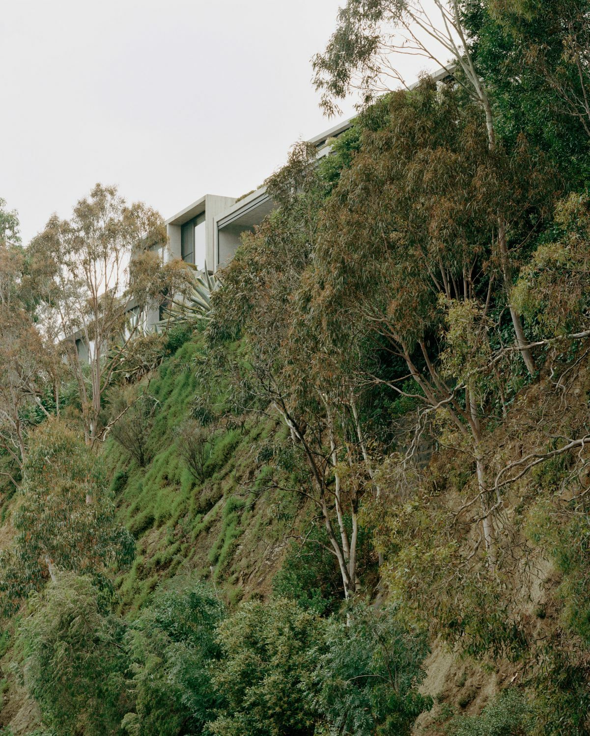 Das Ensemble ist an der steil abfallenden Uferkante zum Yarra River hin verortet.