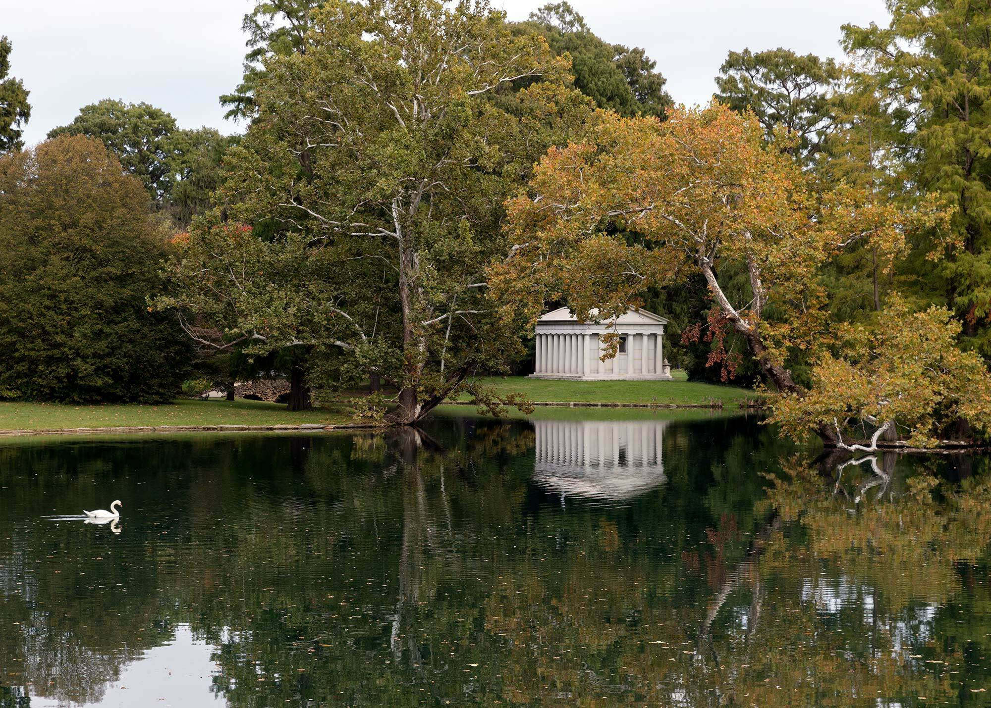 Arboretum Stadt und Dachbegrünung Vegetation