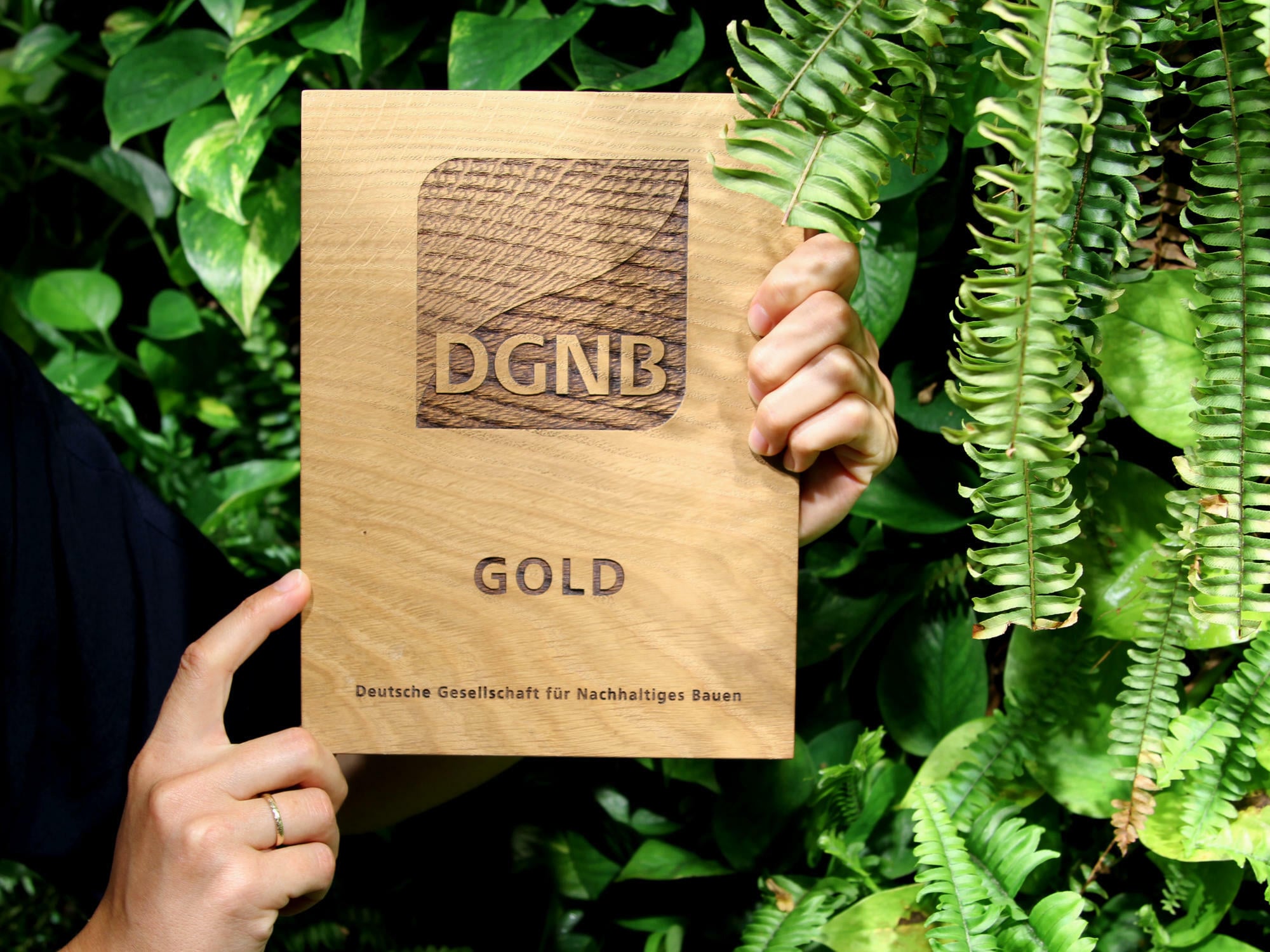 Ein neues Zertifikat der DGNB für biodiversitätsfördernde Außenräume soll den Fokus auf Maßnahmen zum Erhalt der Artenvielfalt und Ökosysteme beim Bauen legen.
