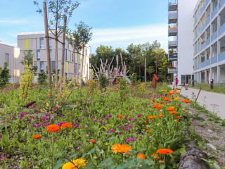 Die Parklandschaft von liebald+aufermann umrahmt das neue Wohnquartier Prinz Eugen Park.