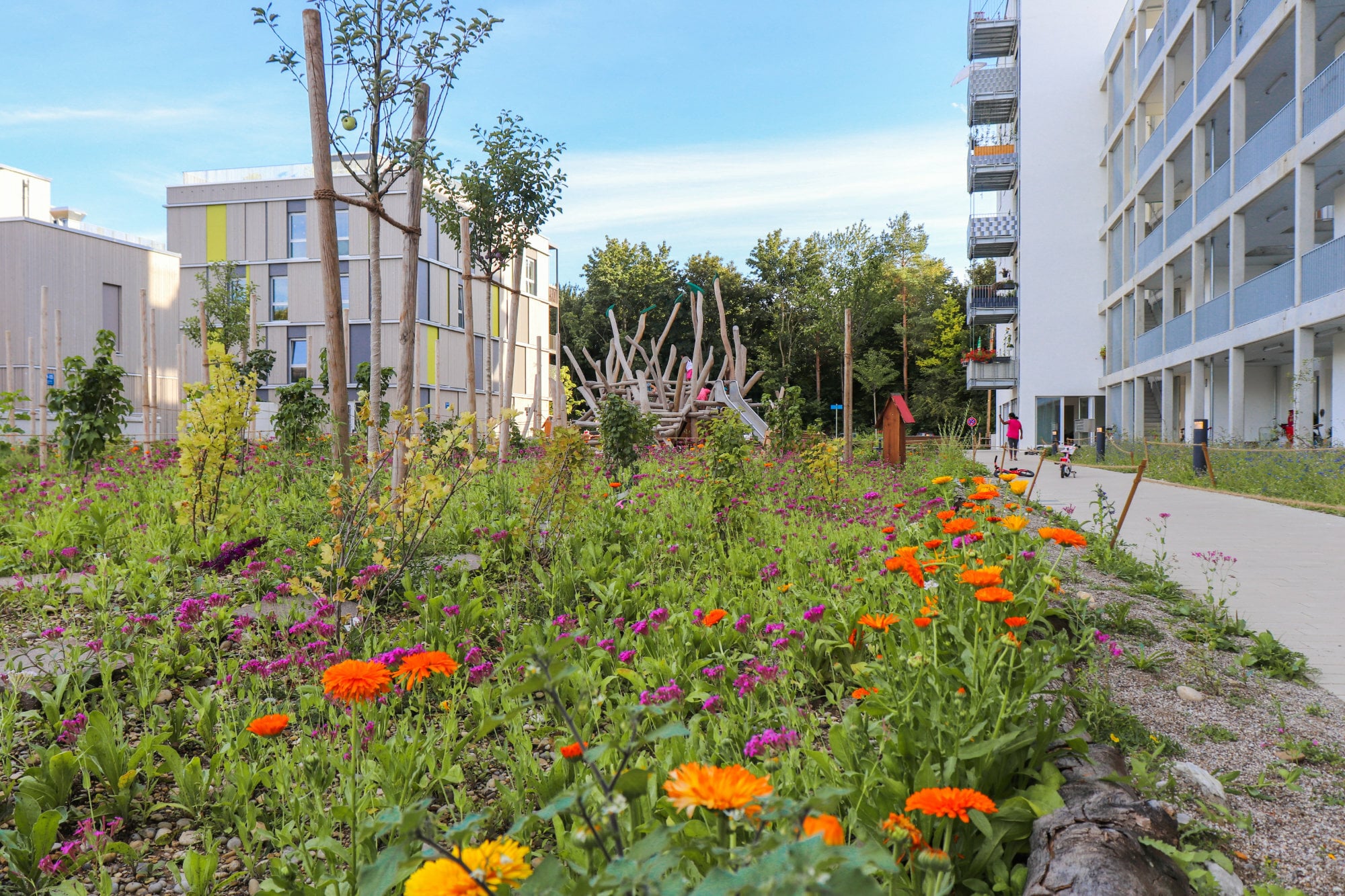Möglichst viele der vor Ort ausgebaute Materialien wie Bodenaushub, Steine und Holz wurden im neuen Entwurf wiederverwendet.