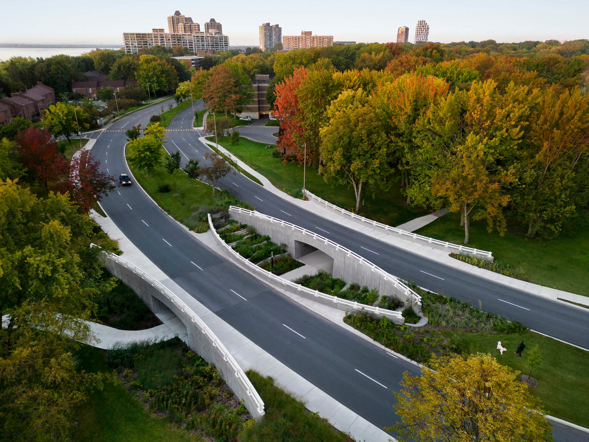 Darwin-Brücken in Montréal | Wasserkreislauf | Sonderbauten | Baunetz ...