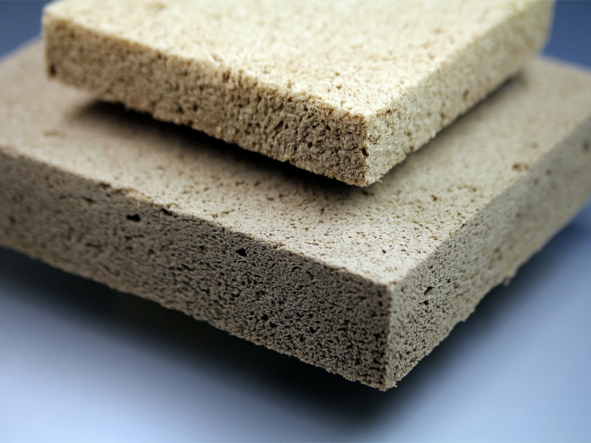Probekörper des Holzschaum