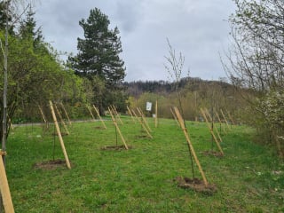 Umsetzung am Pflanztag mit freiwilligen Helfer*innen in Zürich.