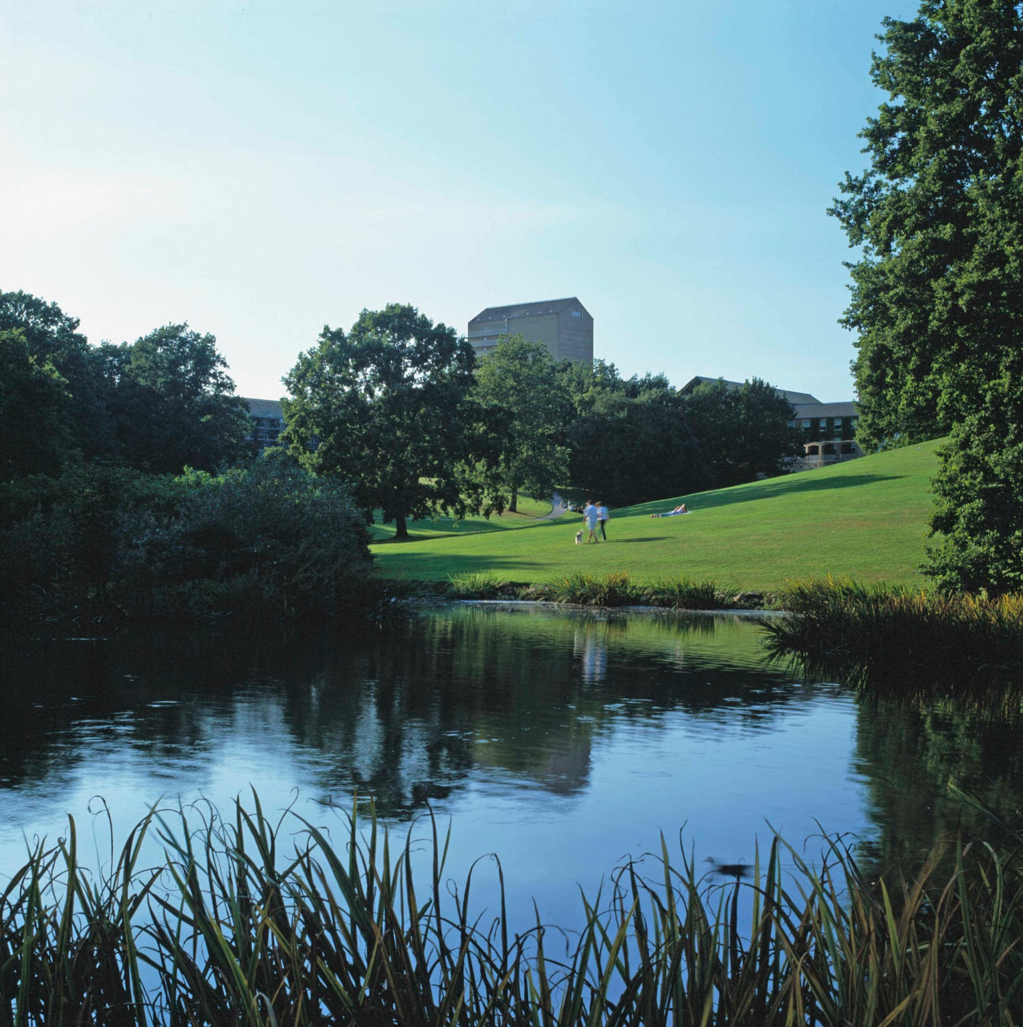 Universität Aarhus Beschläge Kultur/Bildung