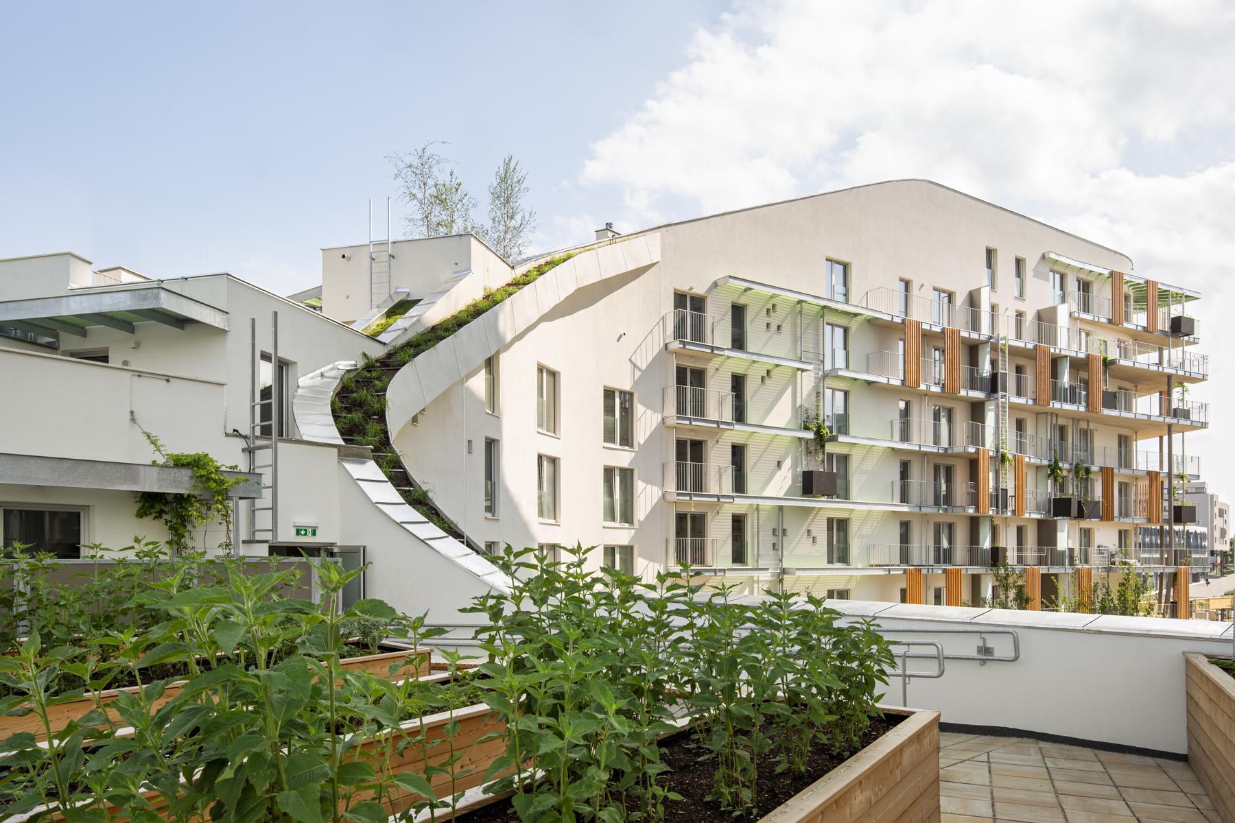 Hochbeete auf der größten Terrasse laden zum urban Gardening ein.
