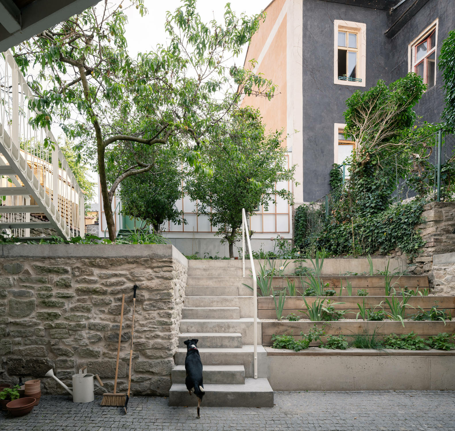 Über eine Betontreppe gelangt man in einen erhöht liegenden Garten.