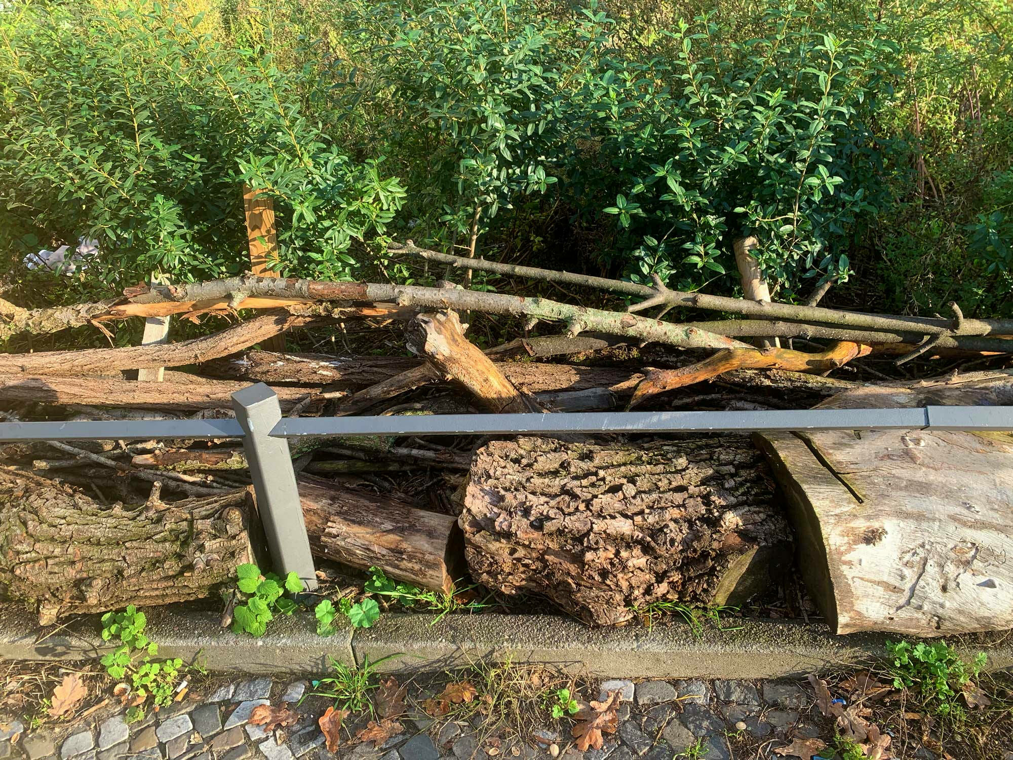 Im Gegensatz zu gemauerten und betonierten Einfriedungen und Metallzäunen sind Totholzhecken nicht nur ein naturnaher Sicht- und Windschutz, sondern bieten in ihren Hohl- und Zwischenräumen einen Lebensraum für eine Vielzahl von Lebewesen.
