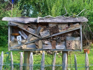 Insektenhotels sollen das Nisten, Fortpflanzen und Überwintern ermöglichen und fördern.