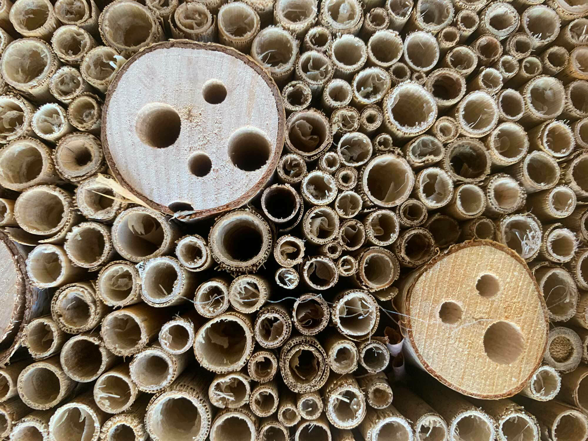 Ein Insektenhotel lässt sich auch selbst konstruieren, wenn beispielsweise Reste von Hochlochziegeln, Reetdach, Strohhalmen, Totholz oder ähnliches zusammengefügt werden. 