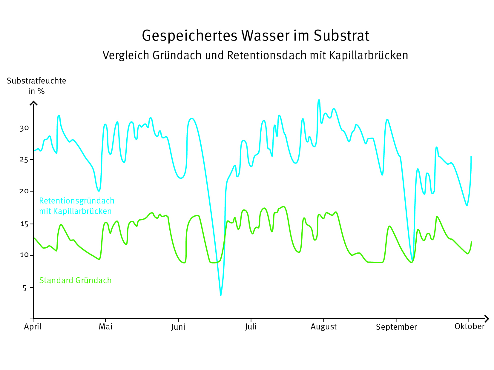 Retentionsdächer haben im Vergleich zu herkömmlichen Gründächern ein deutlich erhöhtes Wasserspeichervolumen.