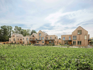 In dem 2022 fertiggestellten Ensemble „Die Auenweide“ in Niederösterreich sollen Wohnen und Natur harmonieren. Entworfen hat die Gebäude das Büro einszueins architektur.