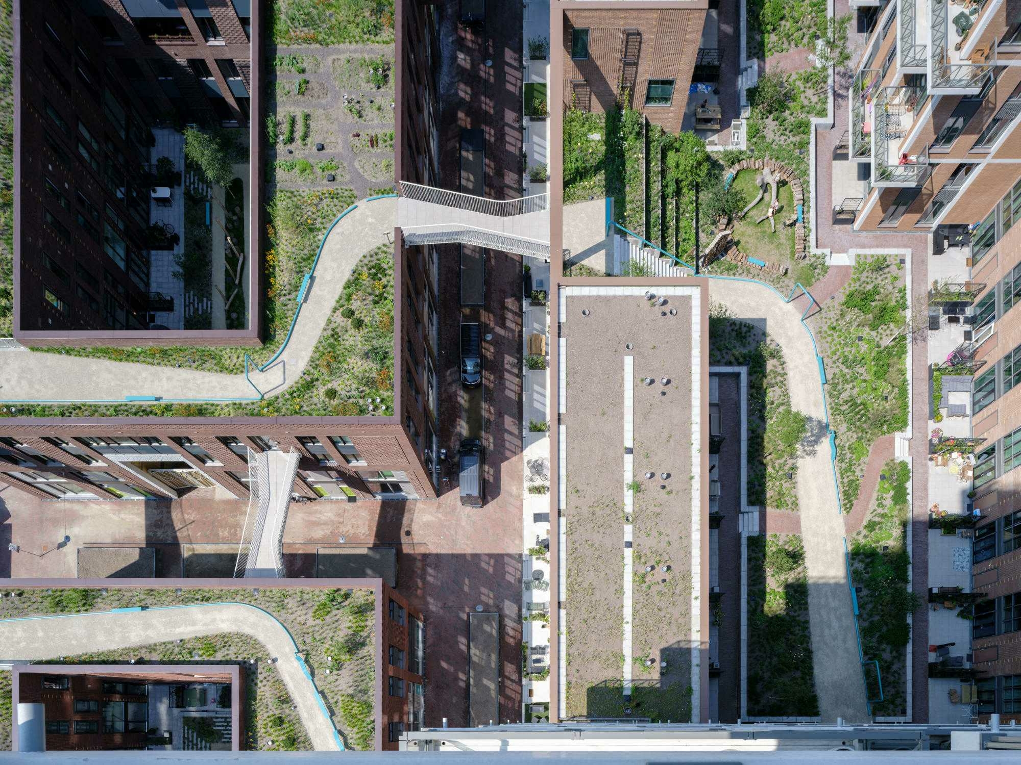 Dachflächen und Höfe sind mit dem Dachgartensystem des Herstellers Optigrün begrünt.