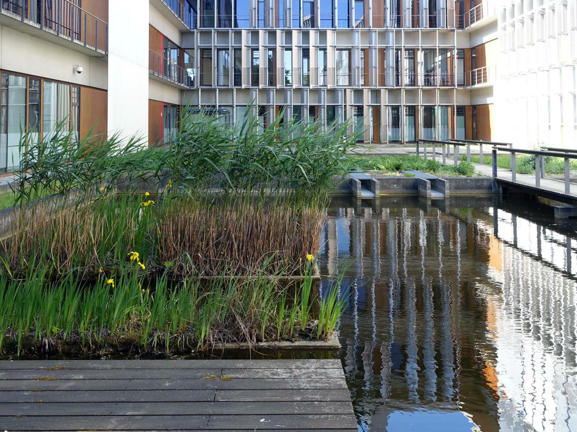 Regenrückhaltebecken am UTZ-Umwelttechnologiezentrum in Berlin Adlershof, Landschaftsarchitektur: B.A.E.R. Becsei + Hackenbracht