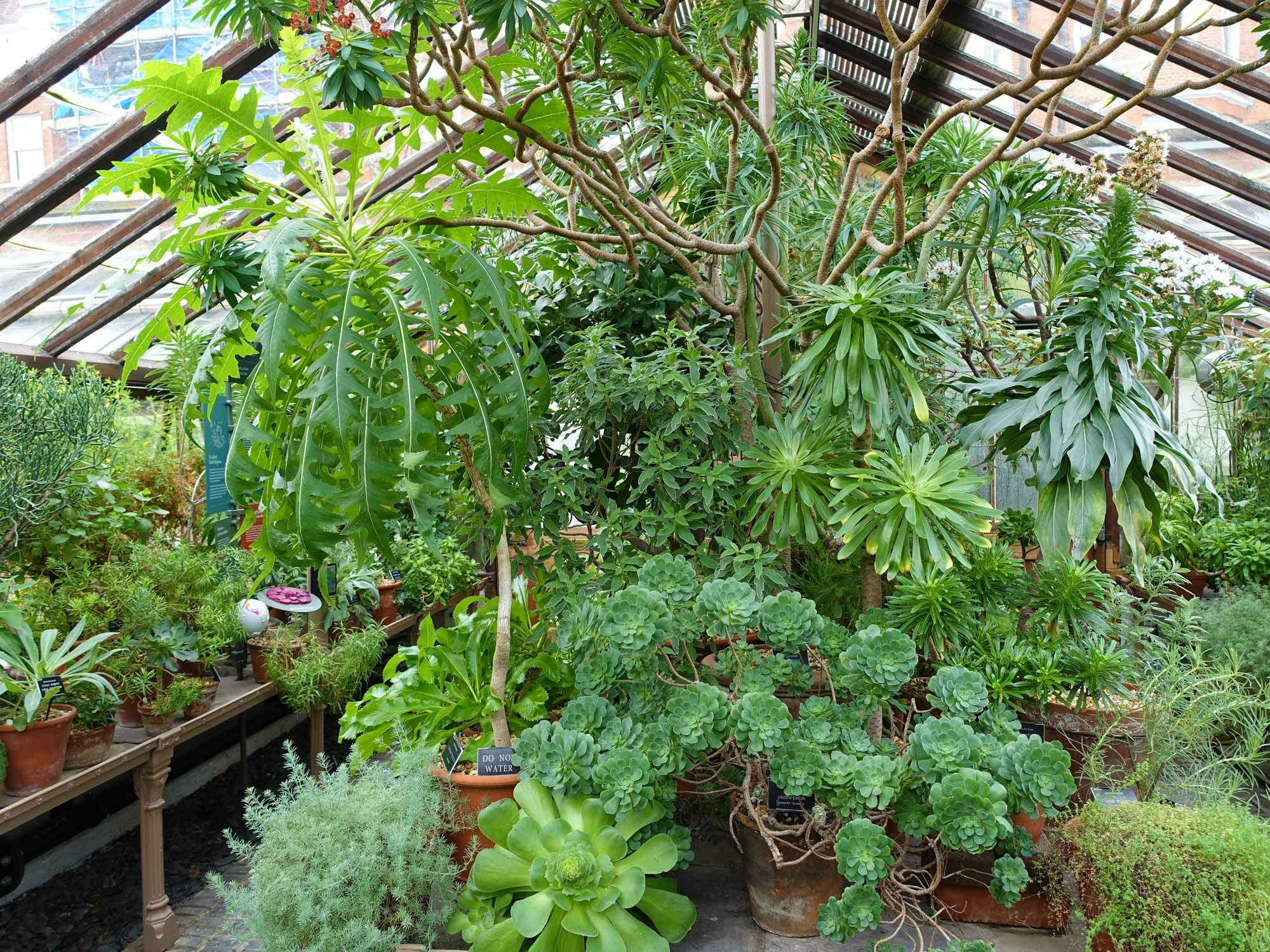 Sloanes Forderung nach 50 neuen Arten im Jahr führte in der Umsetzung zu einem Austausch von Samen, Stecklingen und Pflanzen mit weiteren Sammlungen und Gärten.
