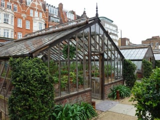 Zu Beginn des 20. Jahrhunderts wurden im Chelsea Physic Garden mehrere viktorianische Gewächshäuser errichtet.