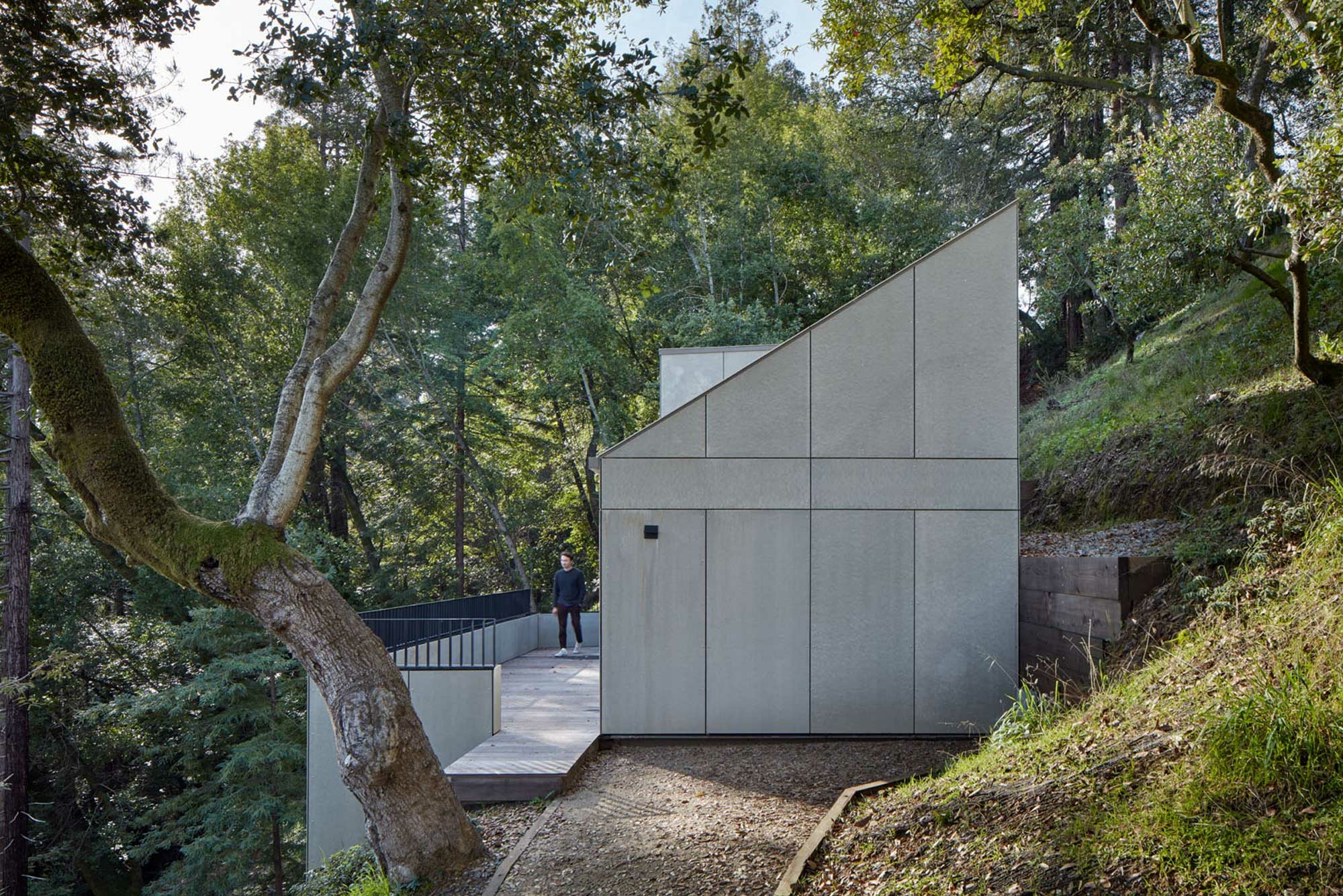 Aufgrund des steilen Hangs mit dichtem Baumbestand entschied sich die Familie gegen einen herkömmlichen Anbau und stattdessen für eine sogenannte Accessory Dwelling Unit (ADU).