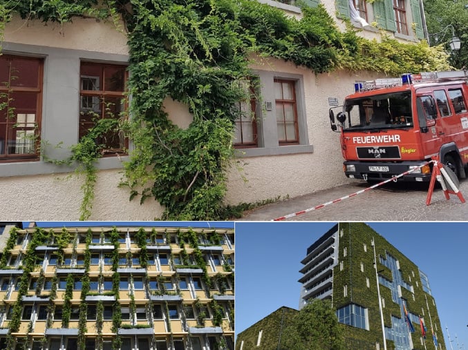 Anforderungen an Brandschutz bei Dach- und Fassadenbegrünungen