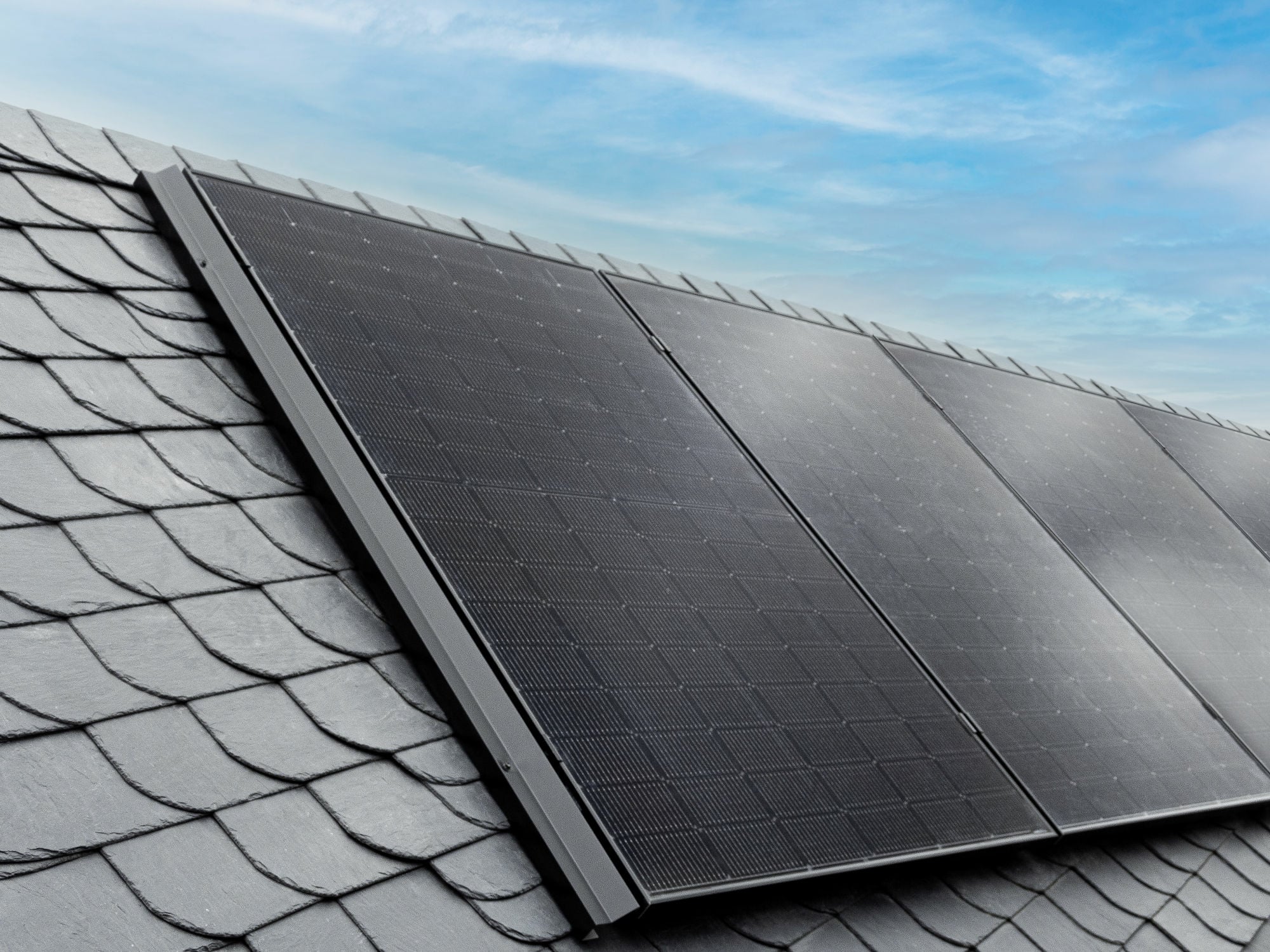 Die bifazialen Doppelglas-Module haben eine Nennleistung von 420 Watt, sind wetterfest und langlebig.
