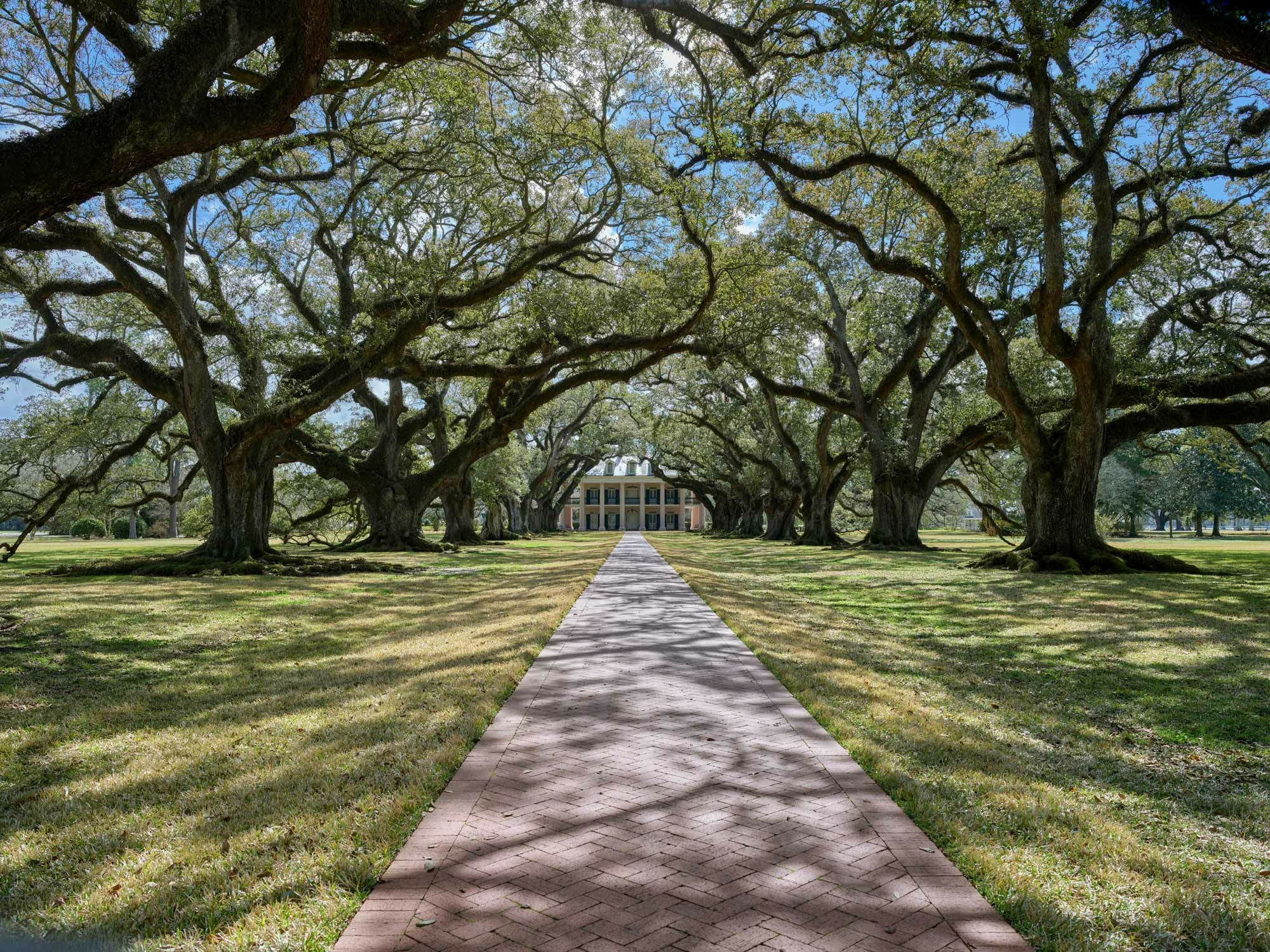 Eichen-Allee mit dem Herrenhaus der Oak Alley Plantation in Vacherie, Louisiana/USA