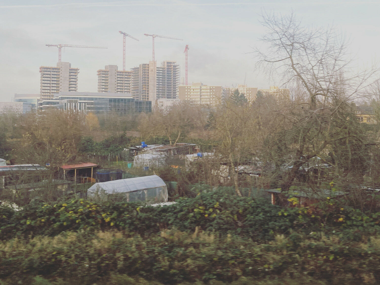 Schrebergarten in Frankfurt 