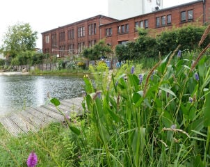 Künstliche Wasserflächen halten das Regenwasser auf dem Gelände der Berliner Malzfabrik.