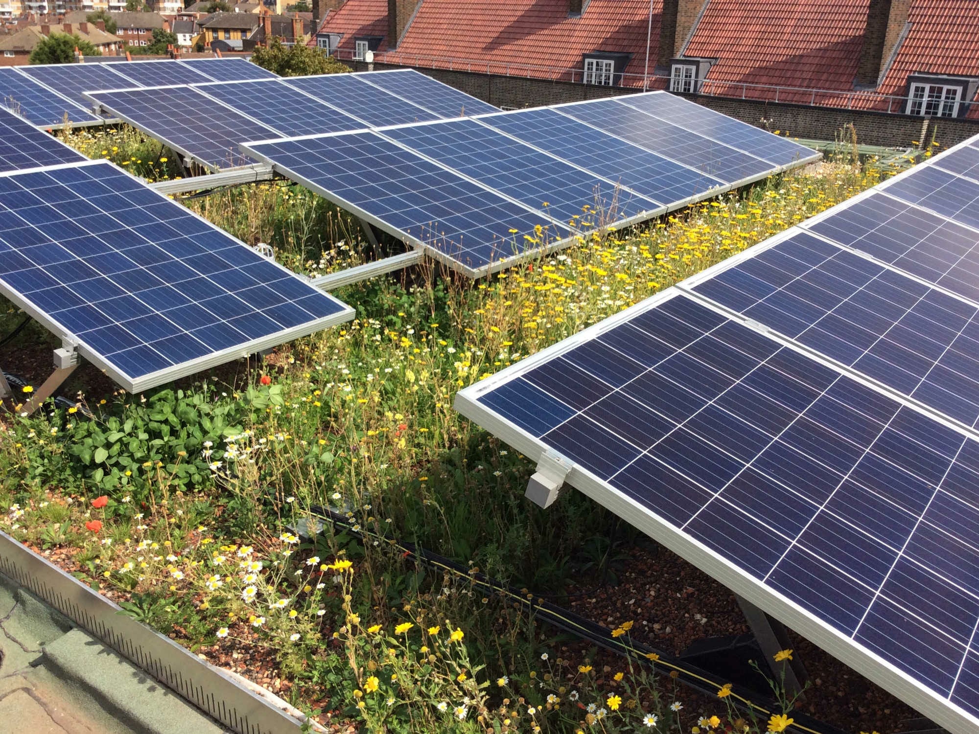 BauderSolar Extensiv Photovoltaikgründach residential 