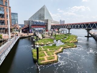 Harbor Wetland in Baltimore