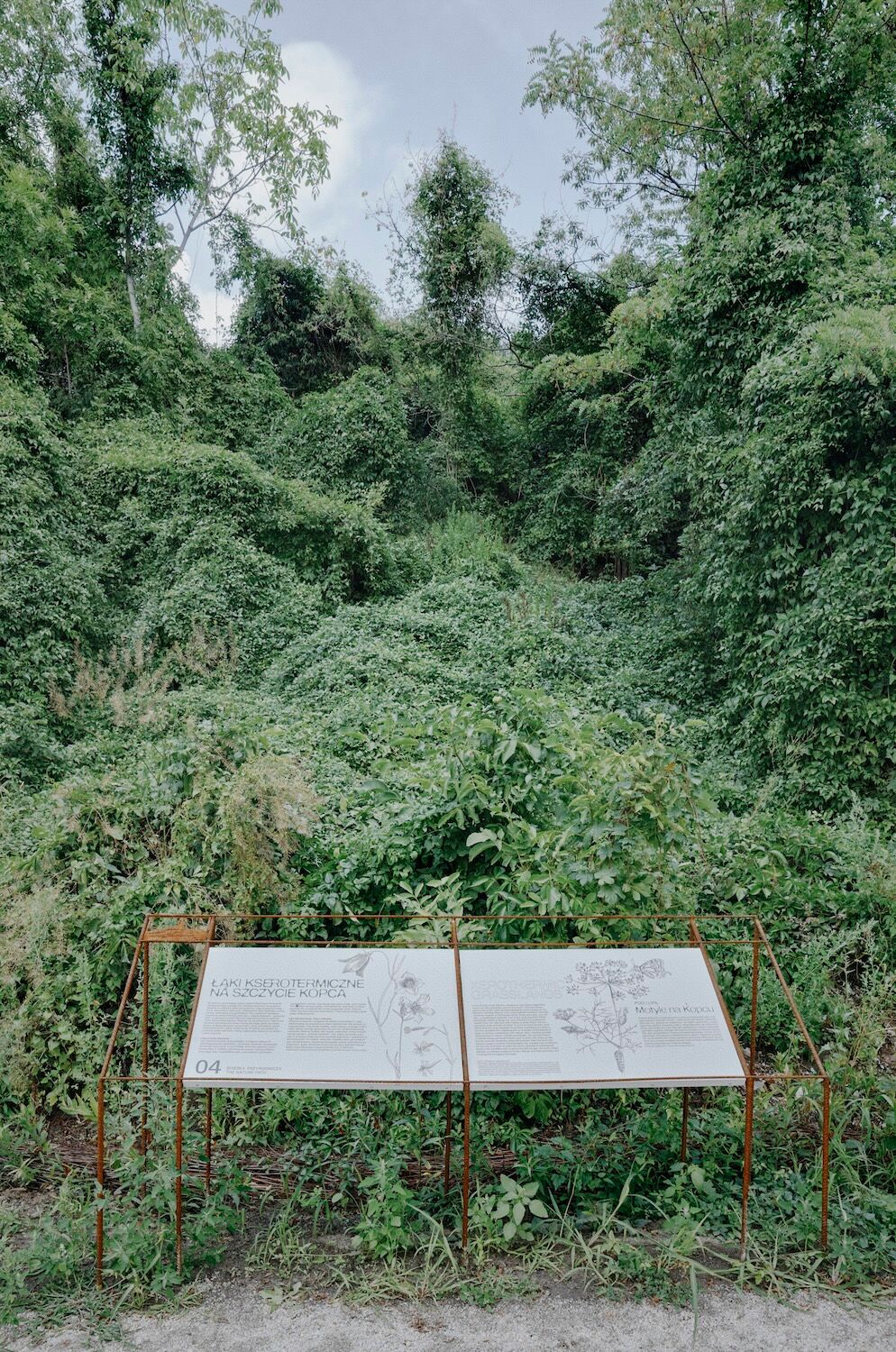 Schilder am Wegesrand erläutern die lokale Ruderalvegetation, wie sie auf Brachen üblich ist. 
