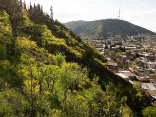 Narikala Ridge Forest in Tiflis