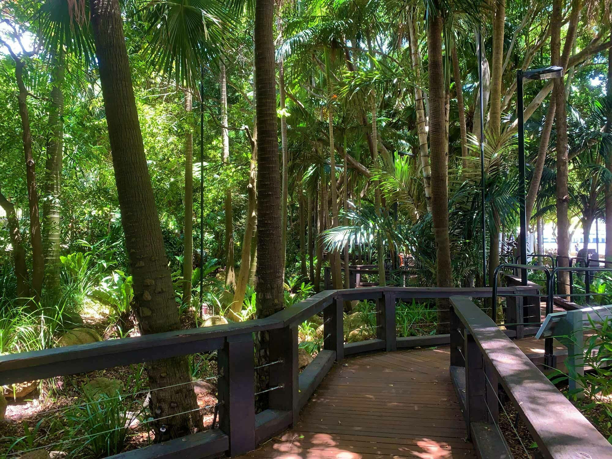 Der Stadtpark wurde Rainforest Walk getauft und beherbergt ausschließlich endemisch subtropische Pflanzen.