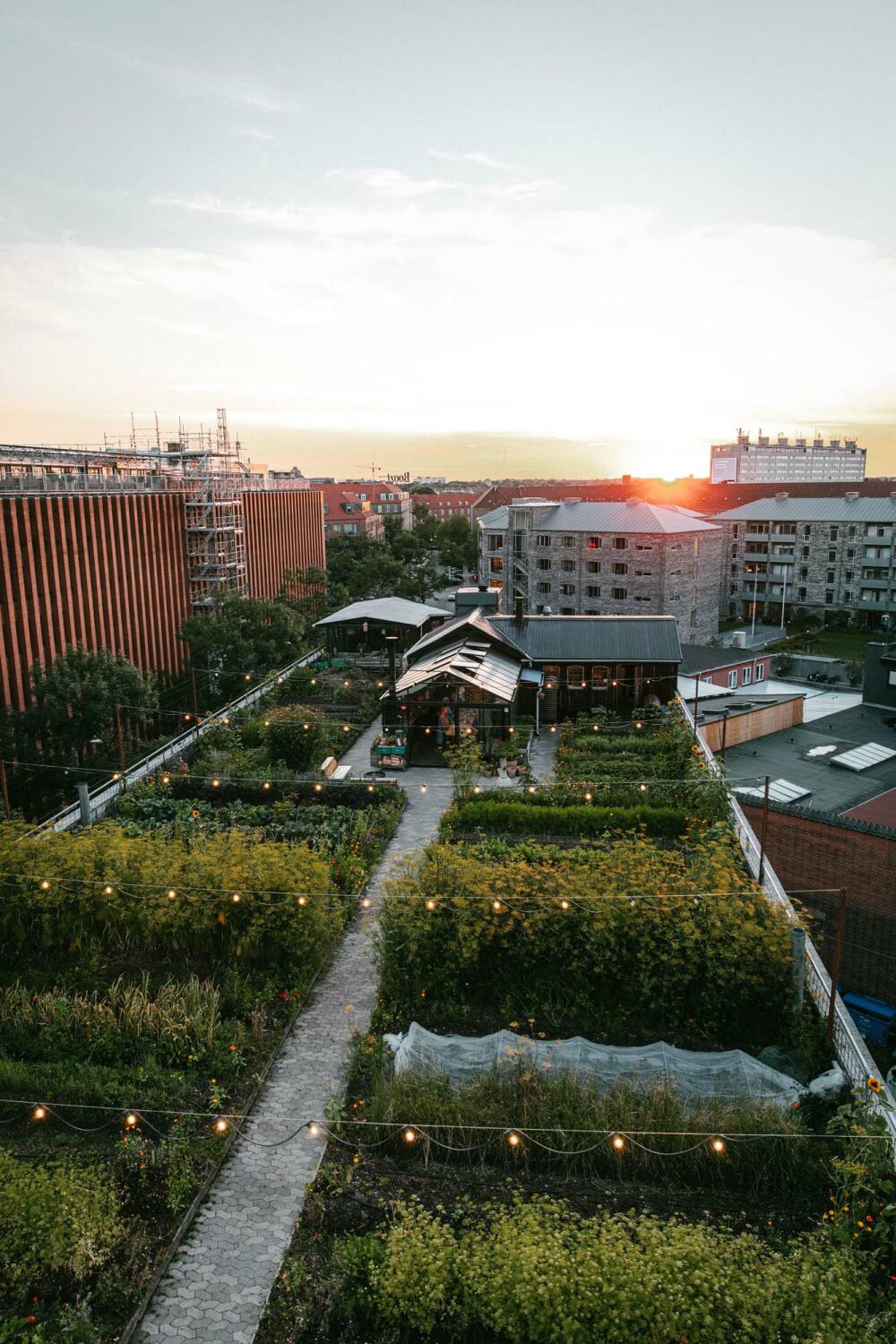 Die Farm gilt als nachhaltiges Vorzeigeprojekt des Kopenhagener Stadtteils Østerbro.