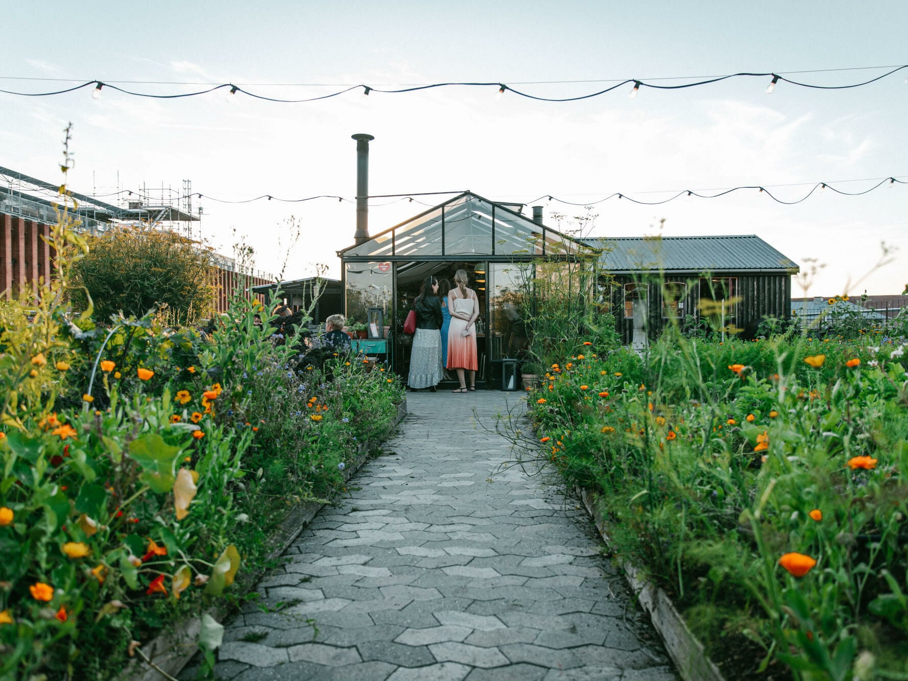 ØsterGro und das darin integrierte Gewächshaus-Restaurant Gro Spiseri befinden sich auf dem Flachdach eines ehemaligen Autoauktionsgebäudes.