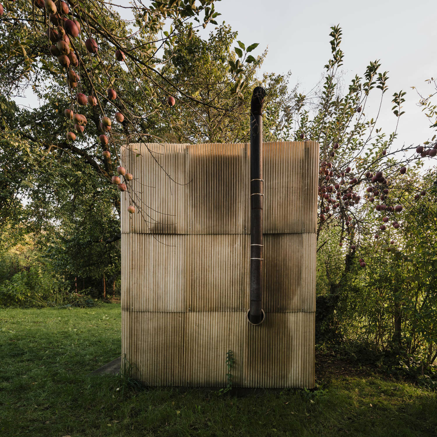 Gebrauchte Glasfaser-Wellplatten bilden die Fassade.