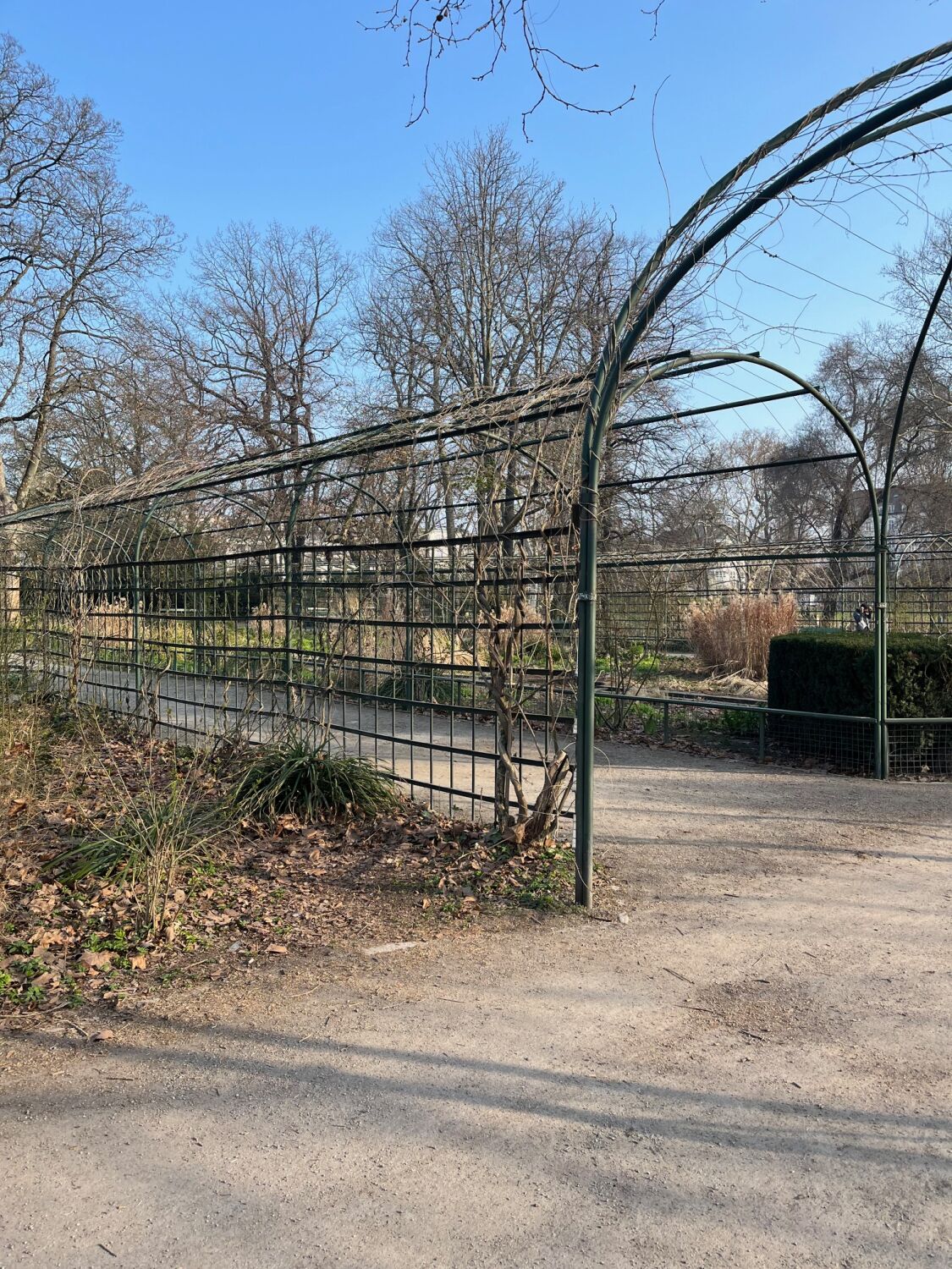 Traditionell besteht eine Pergola aus vertikalen Stützen, die ein offenes Tragwerk aus horizontalen Balken oder Lamellen tragen.