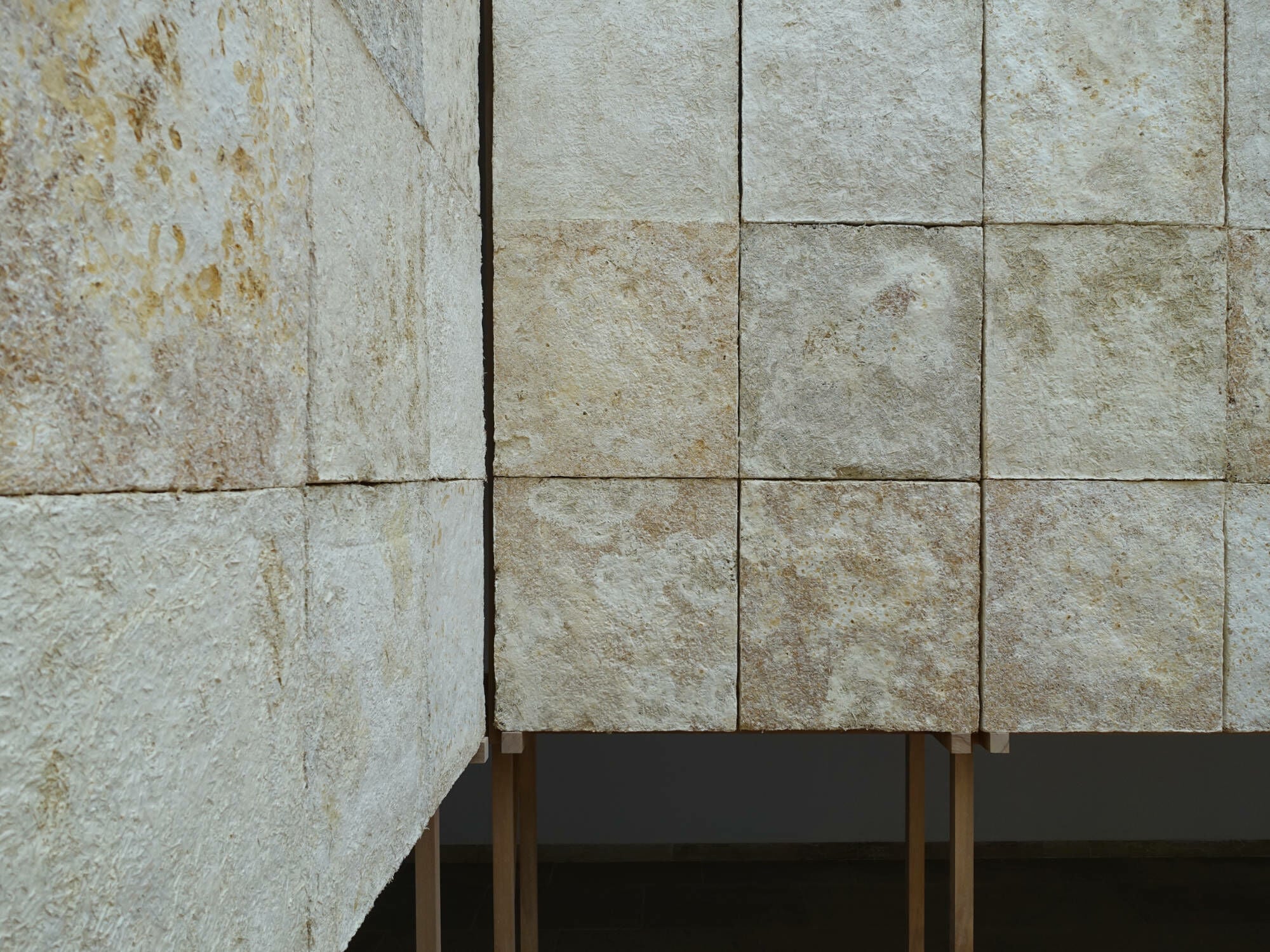 Die Installation trug den Titel „In vivo“